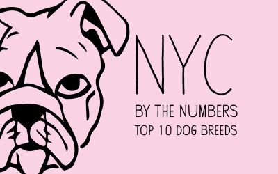 NYC by the Numbers: Dog Breeds